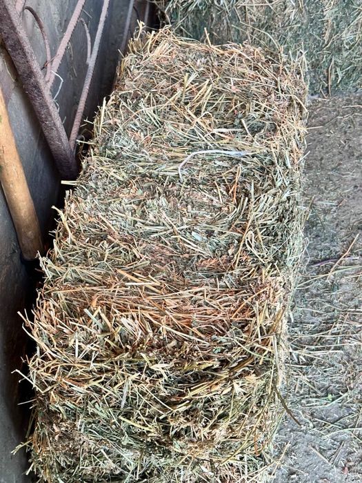 Беда пресс сотилади