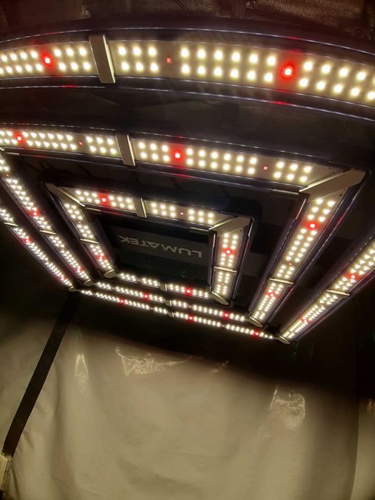 LUMATEK ATS300W PRO 2,7umol/j led grow light