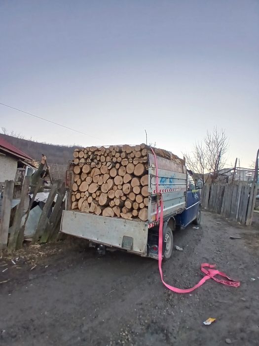 Vând lemne fag stejar tăete transport in jud bacau neamt Vaslui