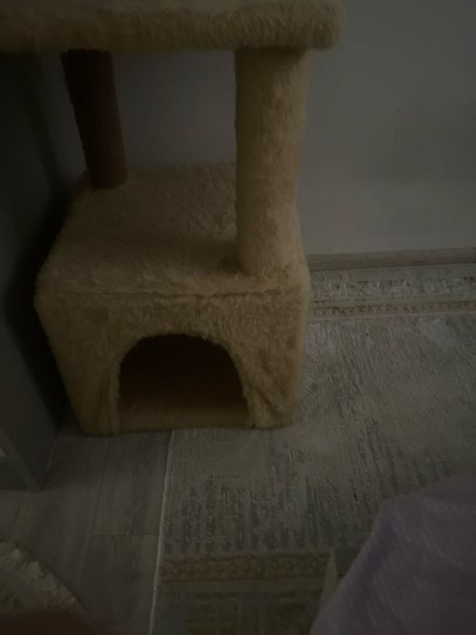 Дом для кот цена договорный