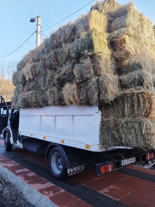 Baloti de fan 20 lei bucata