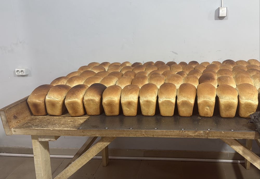 ХЛЕБ для магазинов— 170 ТГ