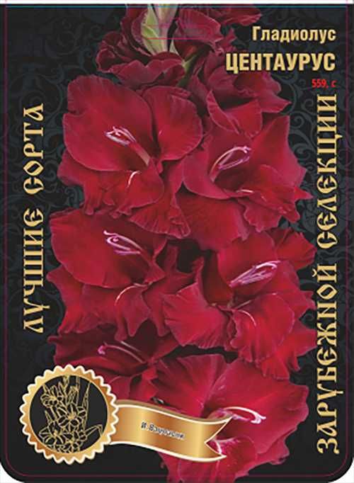 Гладиолусы луковицы