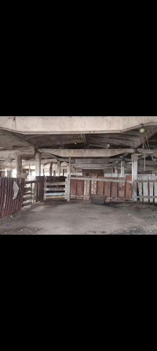 Продаётся крестьянское хозяйство