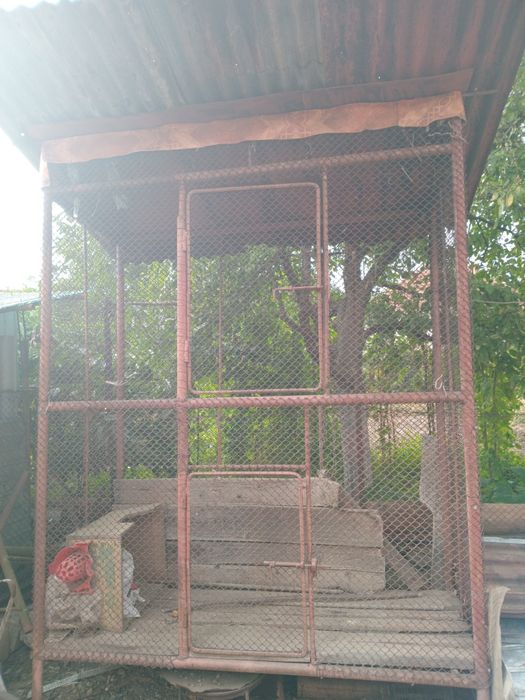Vand cotarcă de fier pentru porumb cu etaj