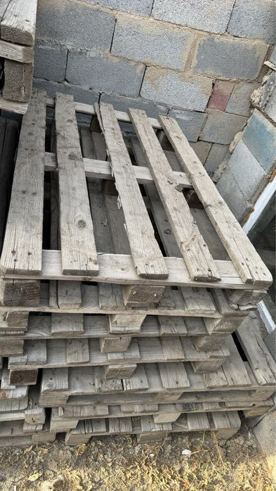 Евро падоны…………….