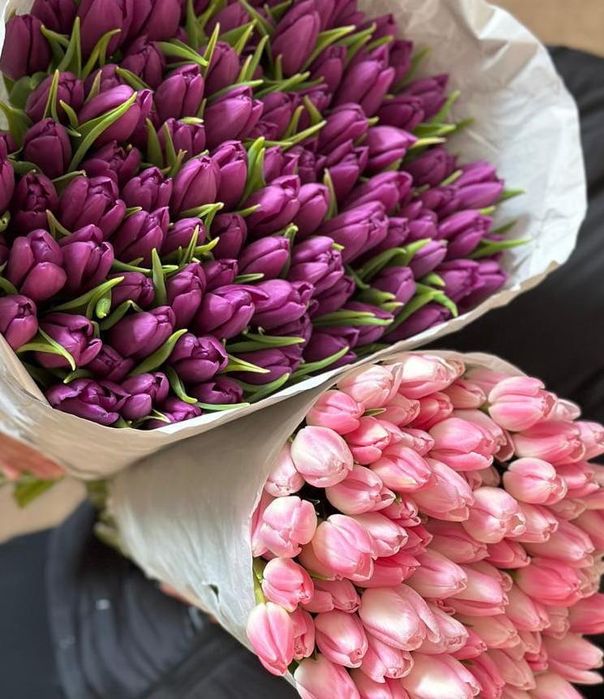 Тюльпаны по оптовой цене