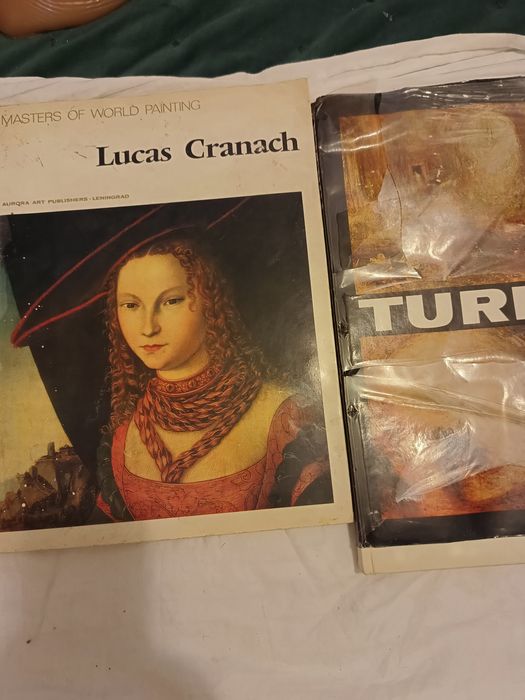 Vând ambele  cărți album