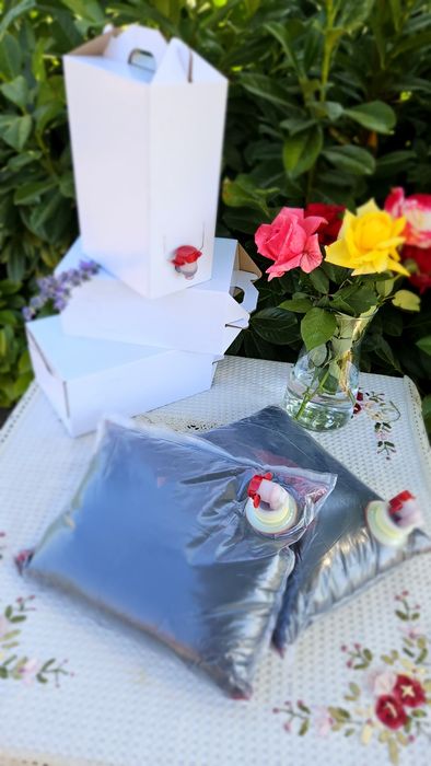 Suc de Aronia punga de 3 litri