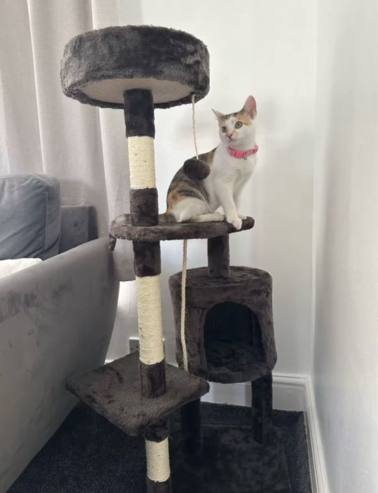 Котешка Катерушка Кула Къща Дърво за Игра 112 см