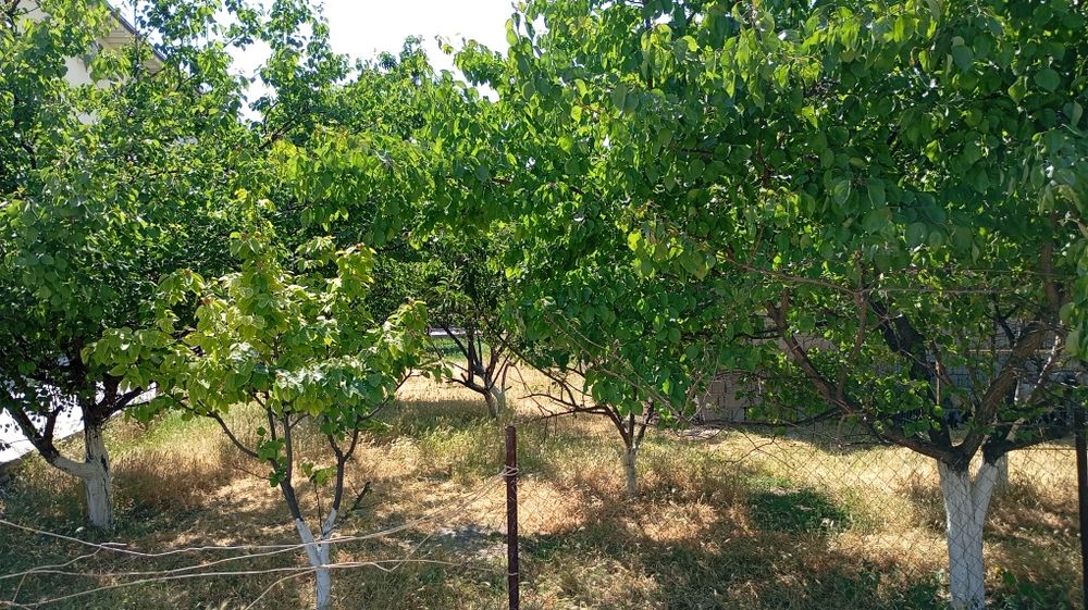 4 sotix yer sotiladi