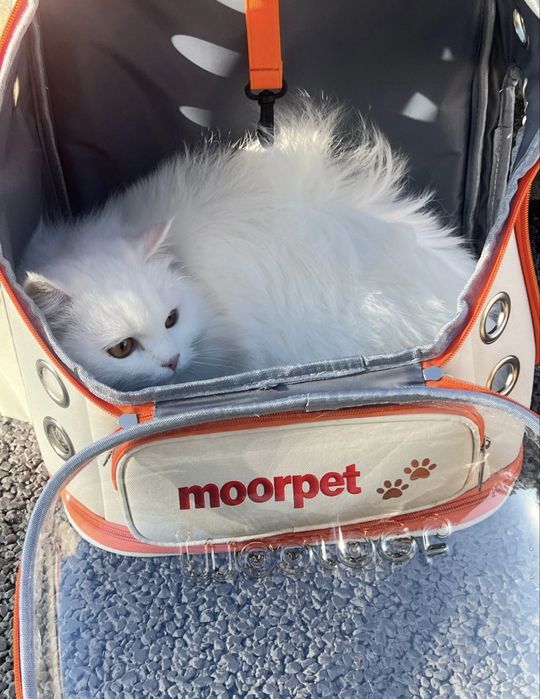 Переноска для кошек