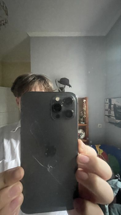 Iphone 12 pro max 128gb трутон фейс работает