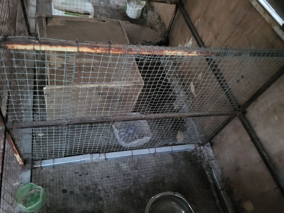 Клетка для кролика