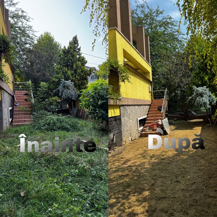 Cosim, Tăiem, Curățăm – Rapid și Eficient! Plus altele.