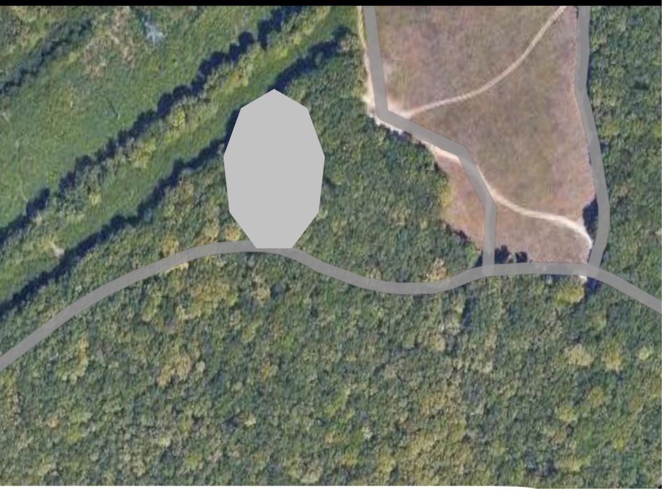 1919 mp teren extravilan -pădure- Găvana Pitești