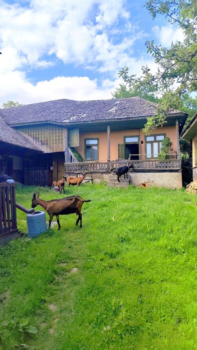 Casă de vânzare în SOVEJA - Locul unde aerul curat și amintirile prind viață