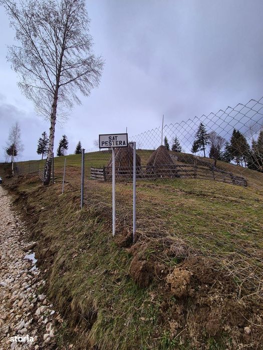 Teren cu energie speciala zona Pestera/Moeciu Brasov, 13.570mp