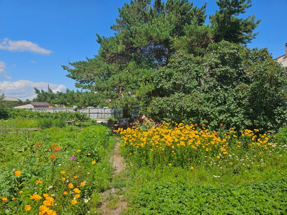 Продам дачу Сосновый бор