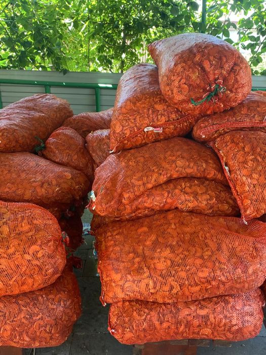 домашине сухофрукты , яблоки груша слива