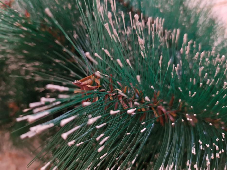 Ёлка искуственная