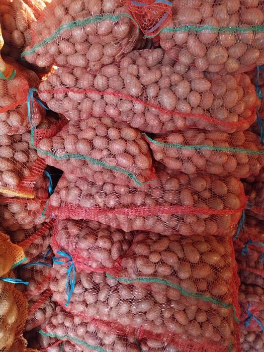 Vând Cartofi samanta