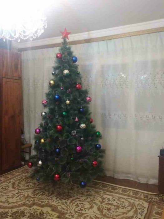 Ёлки по низким ценам