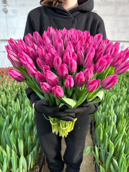 Тюльпаны цветы на праздники 8 мартах