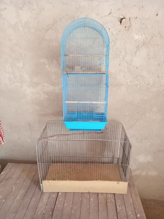 Qafas sotiladi.3 ta bor