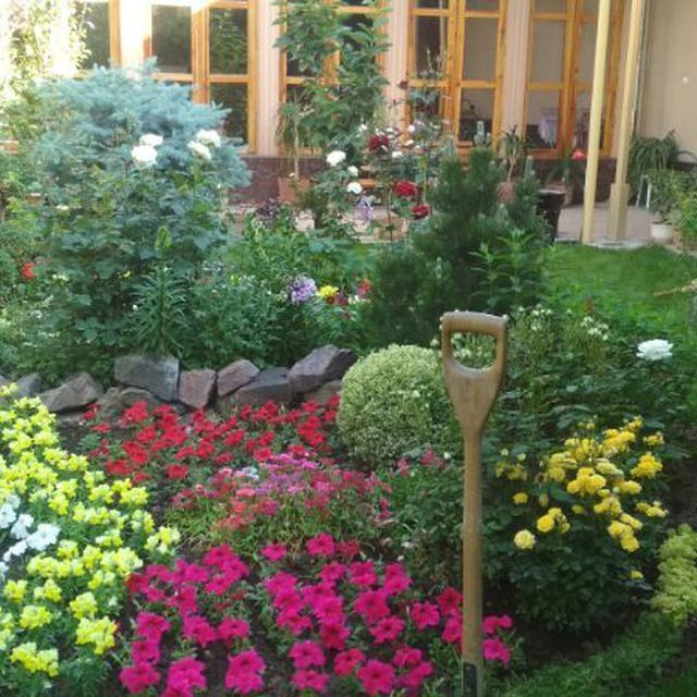 Качественные услуги для вас 
Газон 
Деревня 
Светочка
Ландшафтный диза