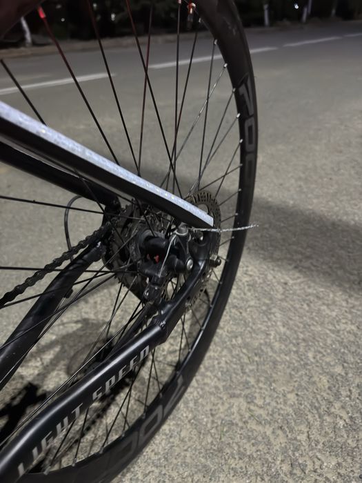 Raleigh Light Speed