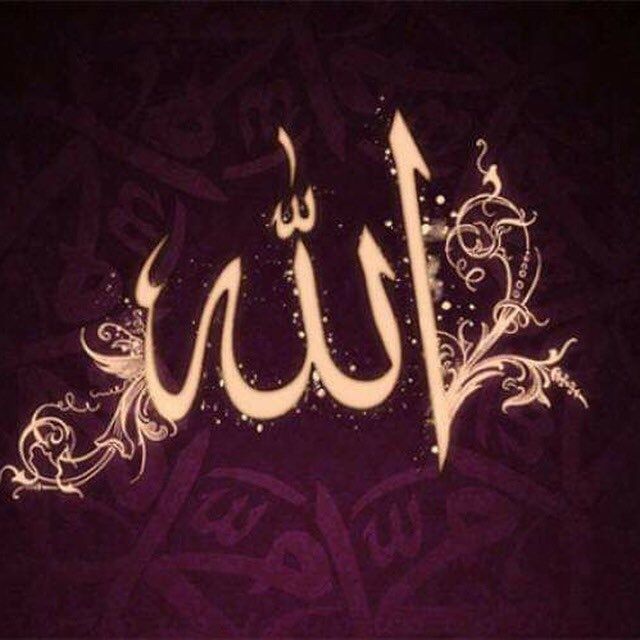 Куй юнгини олиш хизмати келишилган нархда