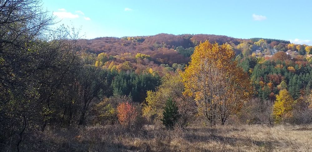 Продава се Парцел в с. Мечковци, Област София-област - 1248 кв.м за 6 €/кв.м - Снимка #7