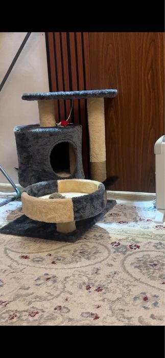 Домик для кошки и аксессуары