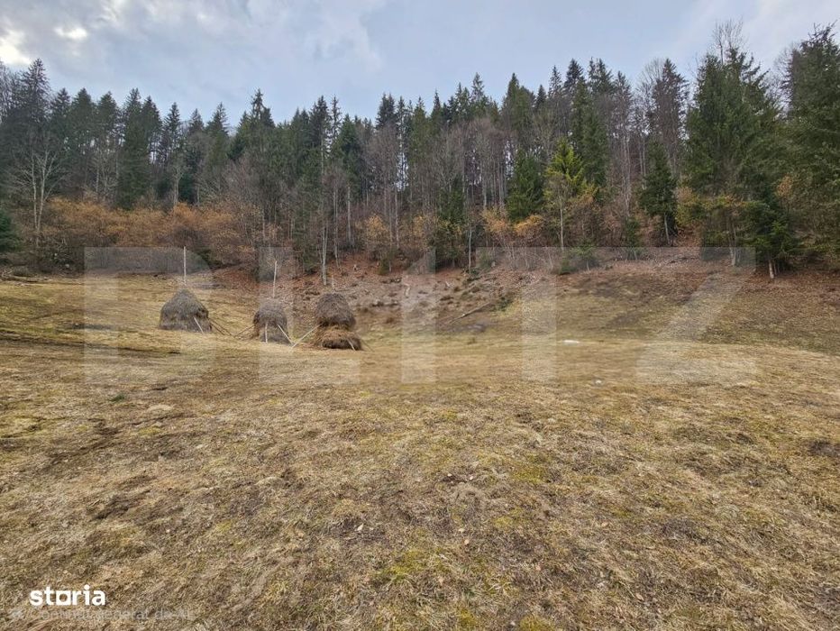 Teren extravilan 11.480 mp cu potential intravilan – Trancesti, Scar
