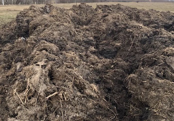 Gunoi de oaie de vânzare