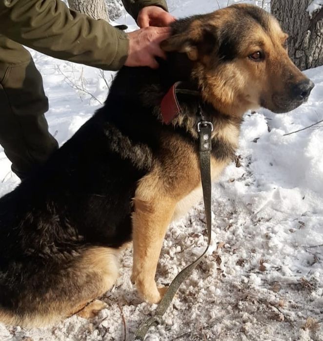 Кому ЗвонОчкоВ и СтороЖей