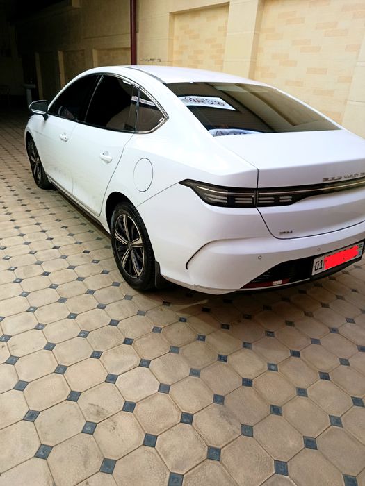 BYD чазор 2023-24йил официальный