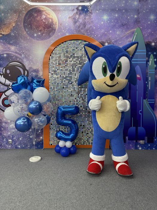 Ростовые куклы Костанай СОНИК