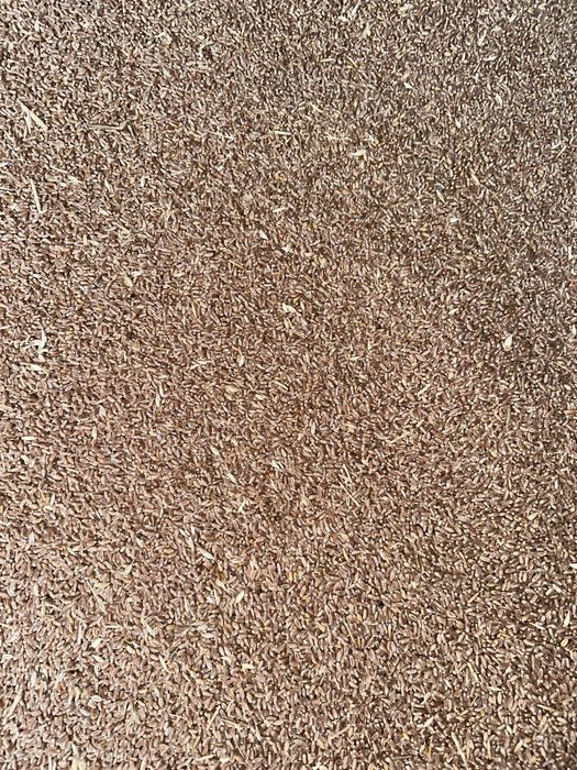 Grau recolta 2025 de panificație cu analize făcute la depozitare