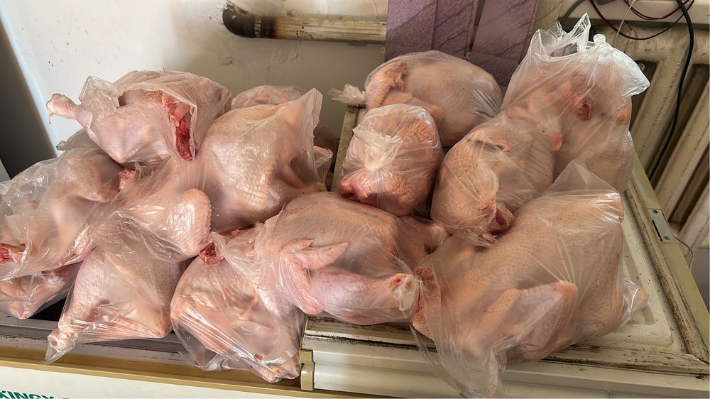 Продам домашнее мясо бройлера