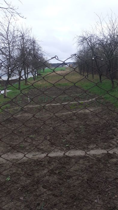 Casa cu teren Balotesti, IF, negociabil