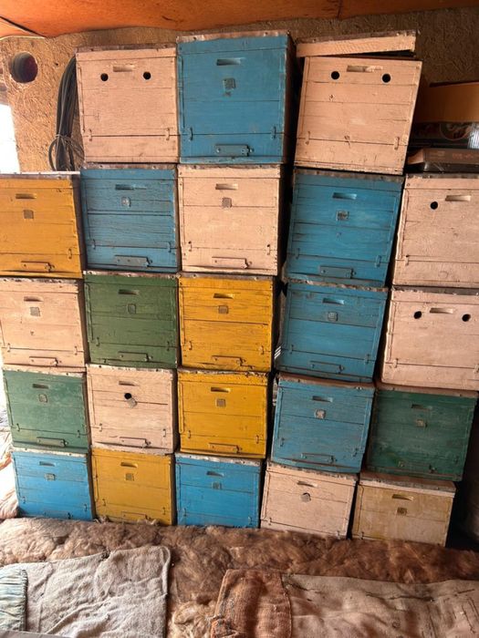 Улики пчеловодческие