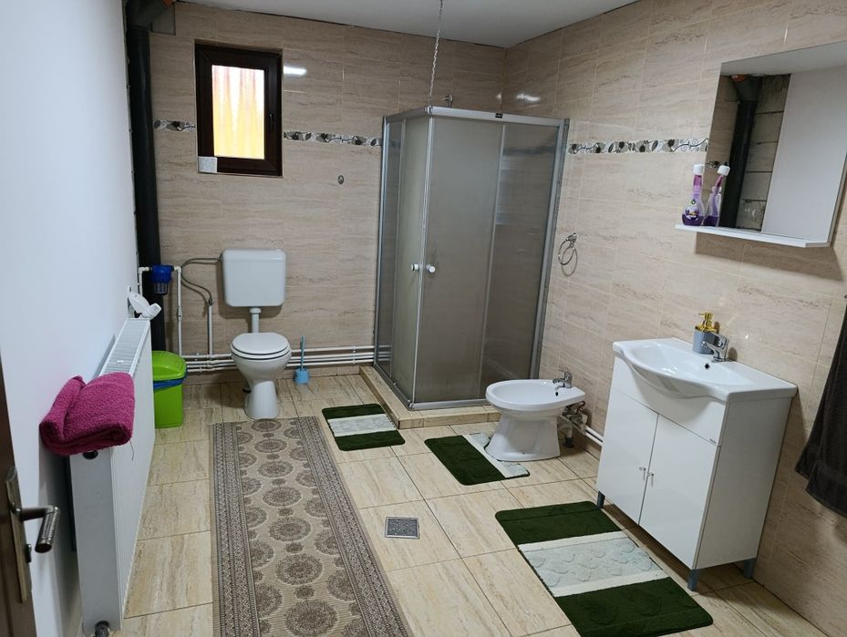 Cabana Dany Colibița