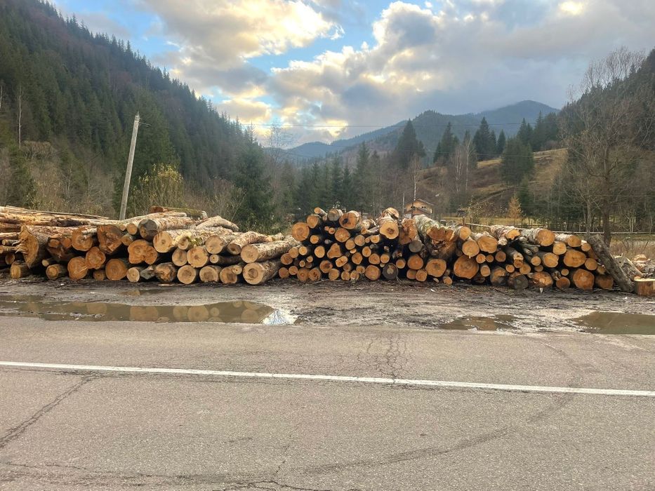 Lemn de foc și cherestea