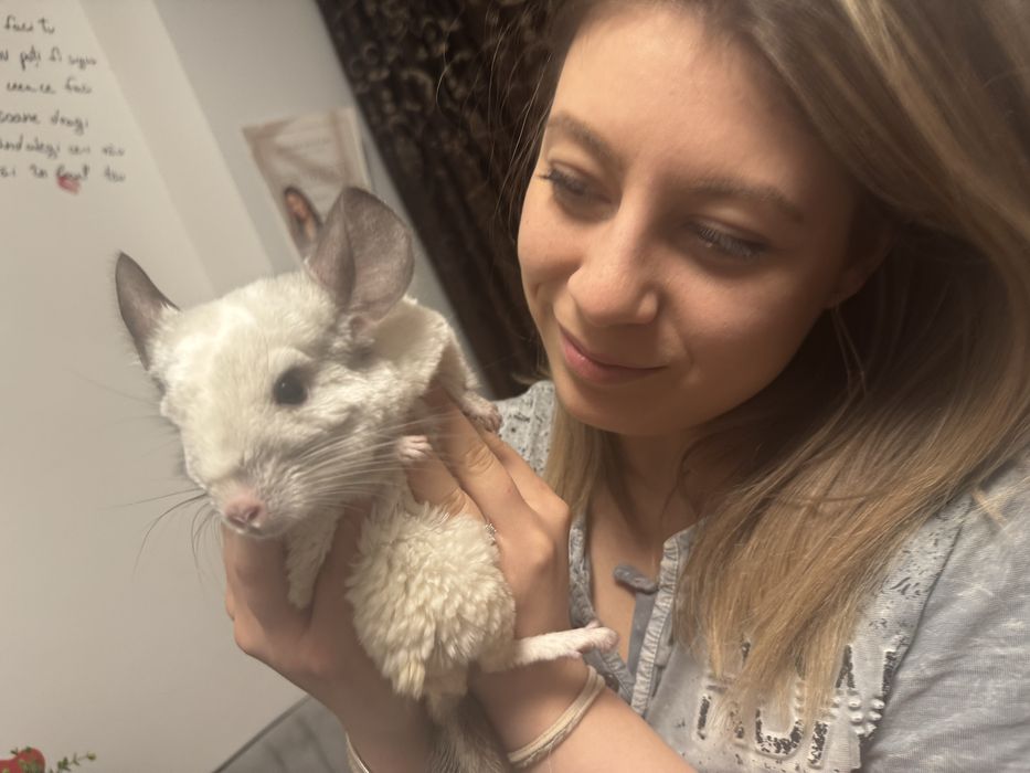 Sinsila mascul si tot ce are nevoie