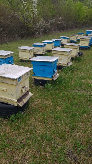 Продавам кошери ползвани