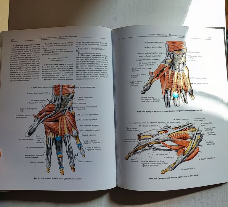 Атлас по анатомия Синелников том 1 (2010 издание)