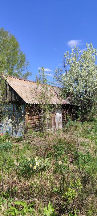 Продам участок 25 соток в с.Топиха