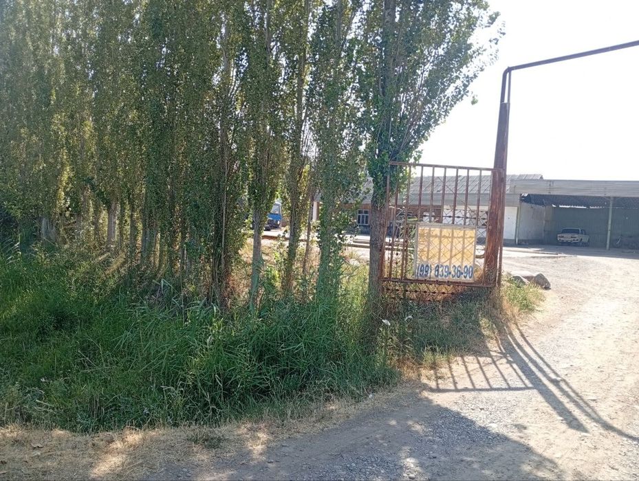 Qoshqorgon da 20 sotikli no turar bino sotiladi